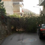 Maltempo, la riviera Jonica flagellata dal vento: alberi caduti e strade interrotte. Foto 3 03