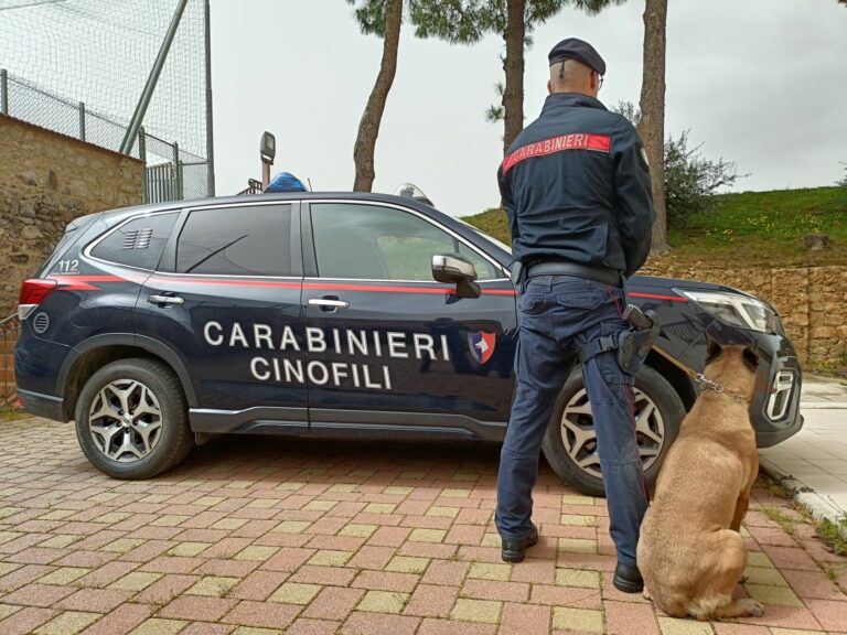 carabinieri cinofili palermo