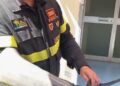 Serpente al Policlinico di Messina: panico tra i pazienti, vigili del fuoco lo liberano in campagna. Foto 4 01 serpente policlinico