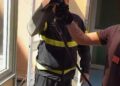 Serpente al Policlinico di Messina: panico tra i pazienti, vigili del fuoco lo liberano in campagna. Foto 2 03 serpente policlinico