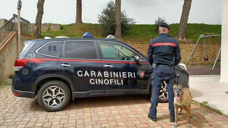 carabinieri Cinofili