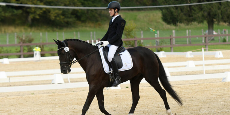 Dressage