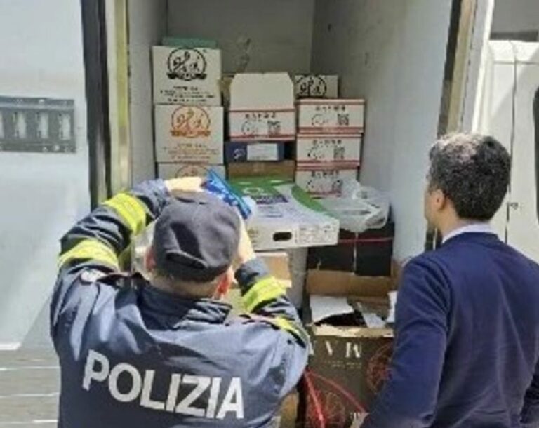 furgone con il cibo avariato 1 1024x813 1