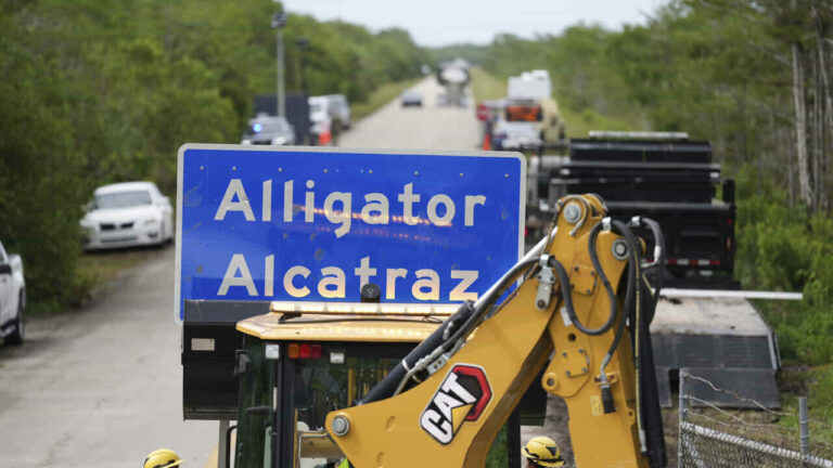 Alligator Alcatraz foto LaPresse