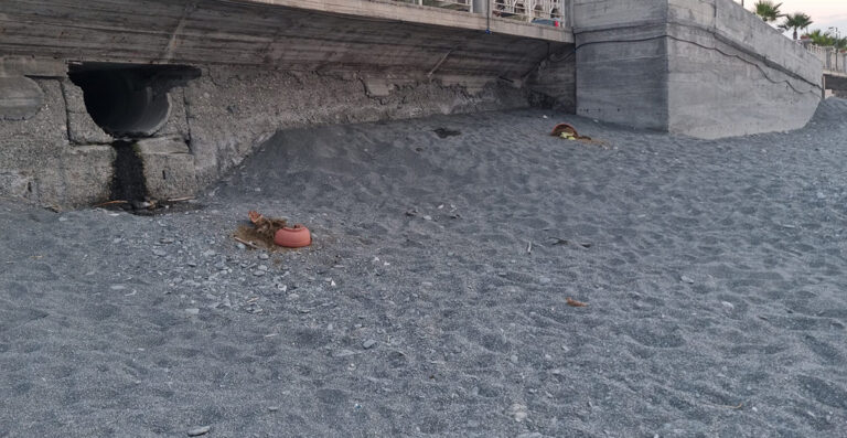 Vandalismo a Furci Siculo