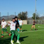 Immagine WhatsApp 2025 10 27 ore 20.06.02 88225410