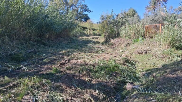 Taormina. Al via gli interventi di scerbatura dei torrenti: Asm punta alla tutela del territorio foto alveo torrente
