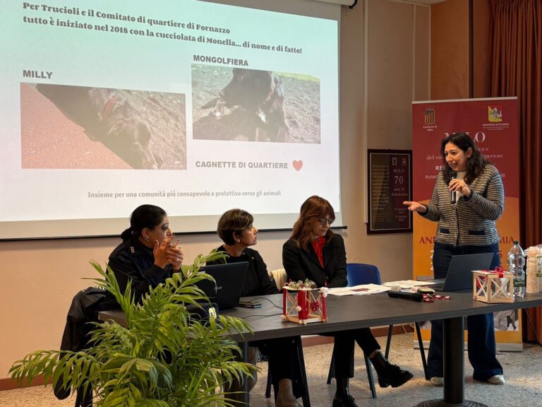 MILO incontro Comune Asp Oipa e volontari 2