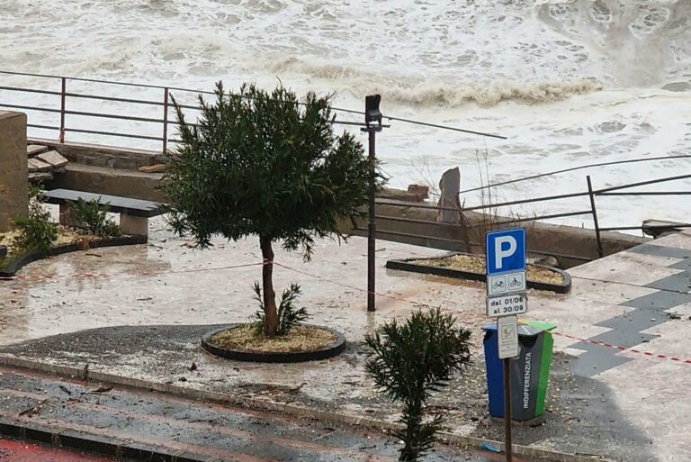 WhatsApp Image 2026 01 20 at 12.53.22