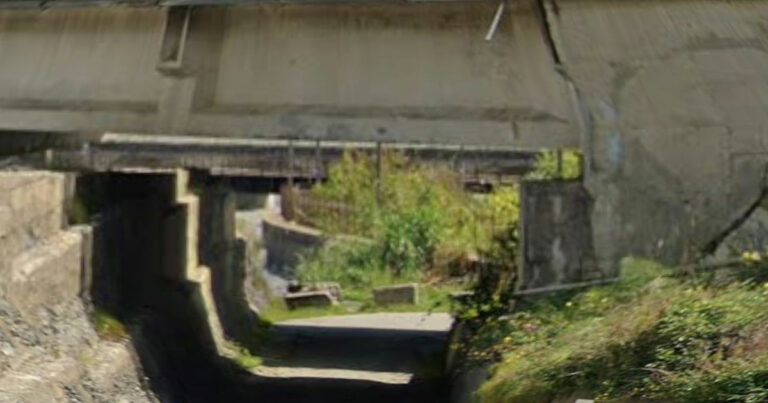 alternativa sparagona