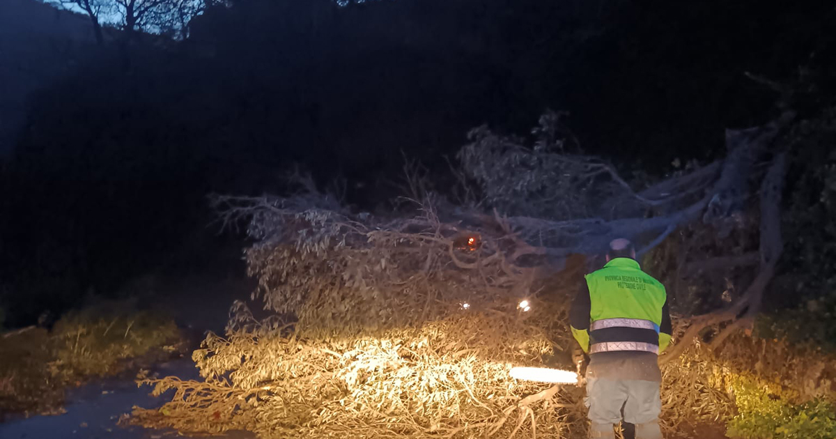 Maltempo nel riviera jonica: alberi caduti e strade bloccate, gli interventi della Città Metropolitana 1 maltempo 1